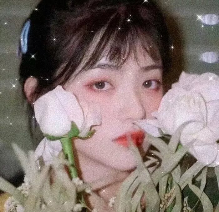 爱的迫降